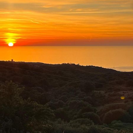 Isola Rossa Appartamenti Paduledda Экстерьер фото